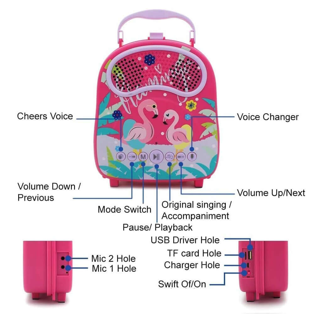 GOMINIMO Kids Portable Karaoke with Two Microphones (Rectangle, Pink Flamingo) GO-KMM-103-HXDW